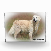 Golden Retriever. Fotoblokken (Voorkant)