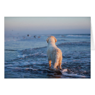 Golden Retriever-fotokaart