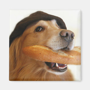 Golden Retriever French Bread Magnet