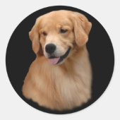 Golden Retriever Frisco Grote Sticker (Voorkant)