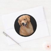 Golden Retriever Frisco Grote Sticker (Envelop)