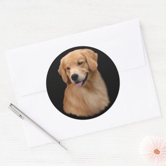 Golden Retriever Frisco Grote Sticker (Envelop)