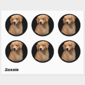 Golden Retriever Frisco Grote Sticker (Vel)