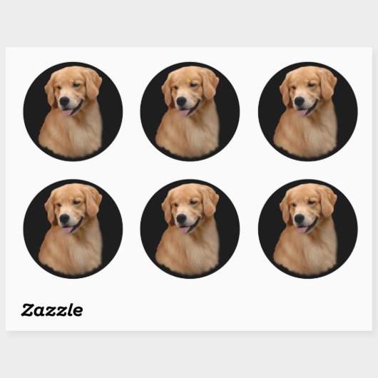 Golden Retriever Frisco Grote Sticker (Vel)