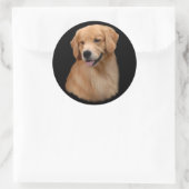 Golden Retriever Frisco Grote Sticker (Tas)
