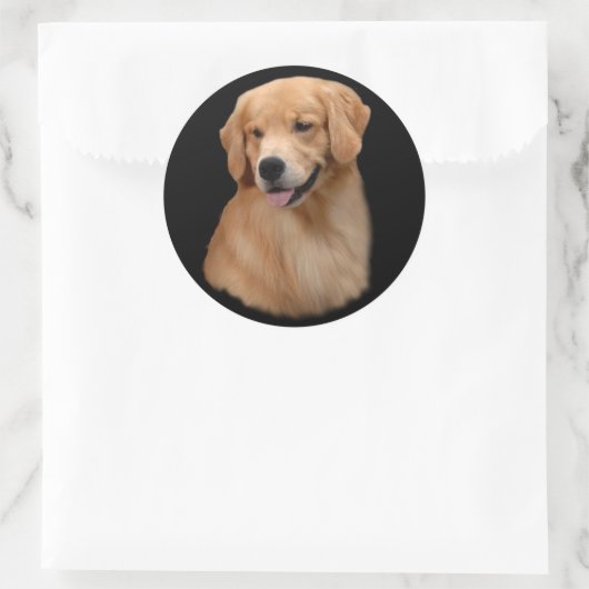 Golden Retriever Frisco Grote Sticker (Tas)