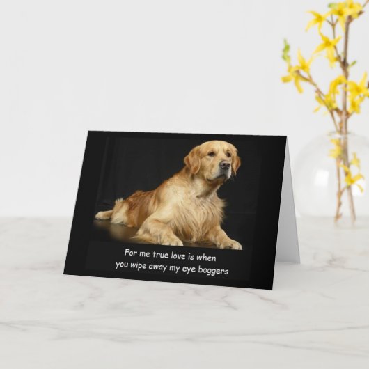Golden Retriever Funny Birthday Card Kaart (Gele Bloem)