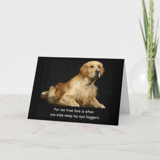 Golden Retriever Funny Birthday Card Kaart