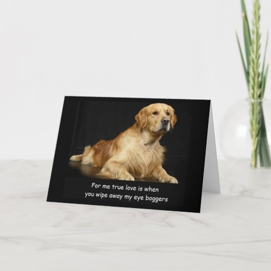 Golden Retriever Funny Birthday Card Kaart (Voorkant)
