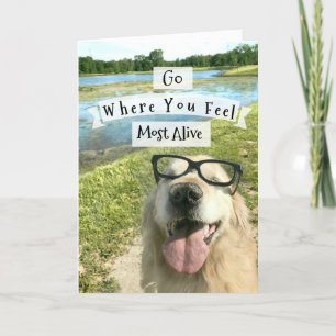 Golden Retriever gaat waar je je Inspirerend voelt Kaart