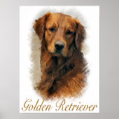 Golden Retriever geeft Art Print (Voorkant)