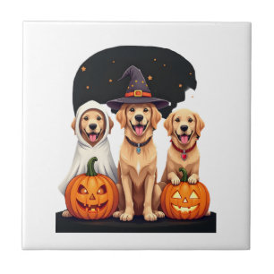 Golden Retriever Geest Halloween Trick Or Treat Do Tegeltje
