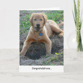 Golden Retriever Gefeliciteerd Kaart (Voorkant)