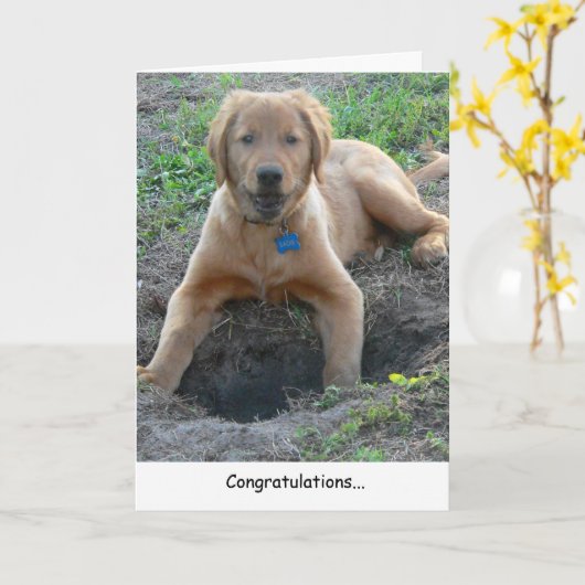 Golden Retriever Gefeliciteerd Kaart (Gele Bloem)