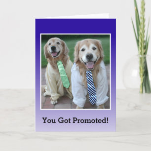 Golden Retriever Gefeliciteerd met je promotie Kaart