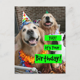 Golden Retriever Gefeliciteerd met je verjaardag Briefkaart