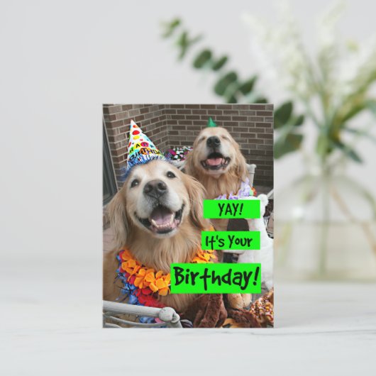 Golden Retriever Gefeliciteerd met je verjaardag Briefkaart (Staand voorkant)