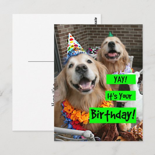 Golden Retriever Gefeliciteerd met je verjaardag Briefkaart (Voorkant / Achterkant)