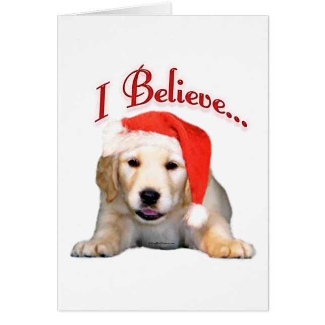 Golden Retriever geloof ik (Voorkant)