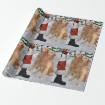 Golden Retriever gelooft kerst
