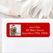 Golden Retriever gelooft kerst Etiket (Insitu)