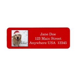 Golden Retriever gelooft kerst Etiket