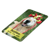 Golden Retriever geluk bloei van binnenuit Magneet (Linkerzijde)