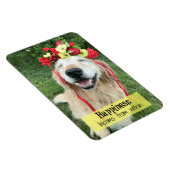 Golden Retriever geluk bloei van binnenuit Magneet (Rechterzijde)