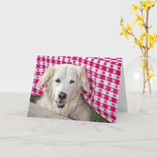 Golden Retriever Getting Old Birthday humor Kaart (Gele Bloem)