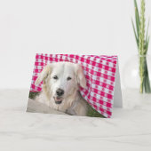 Golden Retriever Getting Old Birthday humor Kaart (Voorkant)