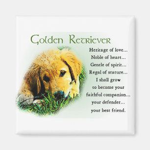 Golden Retriever Gifts Magneet