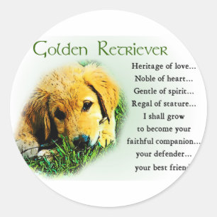 Golden Retriever Gifts Ronde Sticker