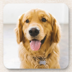 Golden Retriever glimlachen Bier Onderzetter