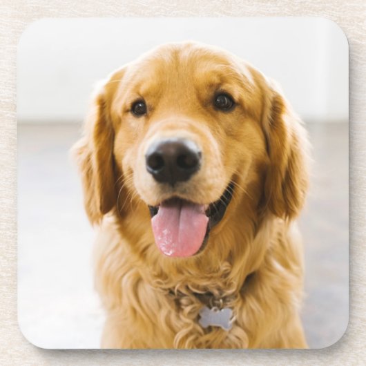 Golden Retriever glimlachen Bier Onderzetter (Voorkant)