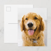 Golden Retriever glimlachen Briefkaart (Voorkant / Achterkant)