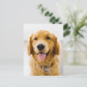 Golden Retriever glimlachen Briefkaart (Staand voorkant)