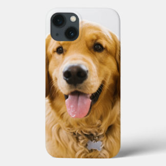 Golden Retriever glimlachen Case-Mate iPhone Case