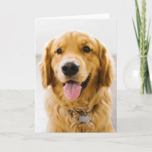 Golden Retriever glimlachen Kaart