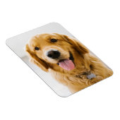 Golden Retriever glimlachen Magneet (Rechterzijde)