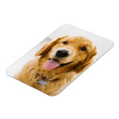 Golden Retriever glimlachen Magneet (Linkerzijde)