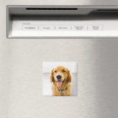 Golden Retriever glimlachen Magneet (Insitu (Vaatwasser))