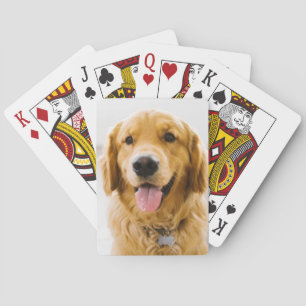 Golden Retriever glimlachen Pokerkaarten