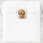 Golden Retriever glimlachen Vierkante Sticker (Tas)