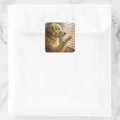 Golden Retriever gluurt door jaloezieën Vierkante Sticker (Tas)