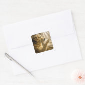 Golden Retriever gluurt door jaloezieën Vierkante Sticker (Envelop)
