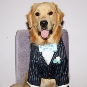 Golden Retriever Goed uitgeruste vaderdag Feestdagen Kaart