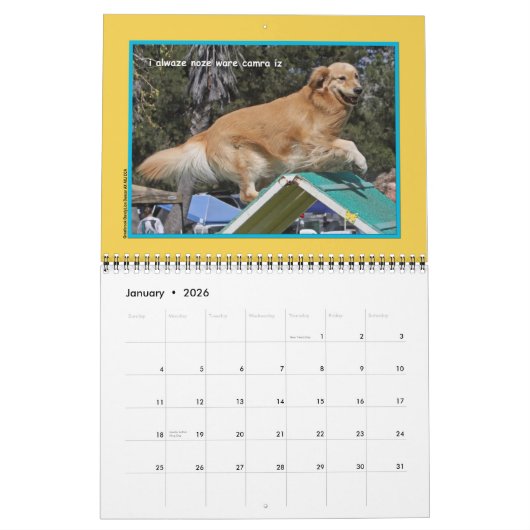 Golden Retriever "Goldens Rule" 12-maands kalender (Jan 2026)