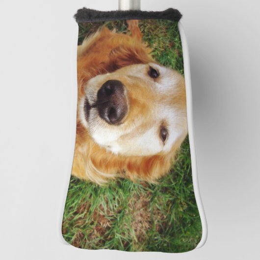 Golden Retriever Golf Head Hoesje Golfheadcover (Draai 90)