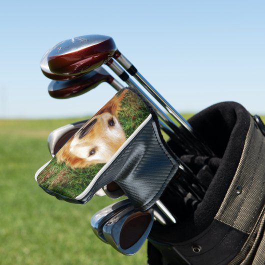 Golden Retriever Golf Head Hoesje Golfheadcover (Insitu)