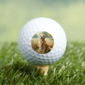 Golden Retriever Golfballen (Insitu Shirt)